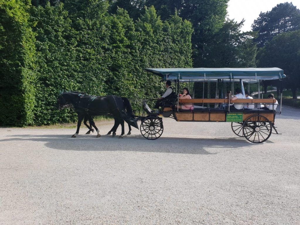 Eine Rundfahrt mit der Pferdekutsche durch den Schlosspark nahe dem Mauthaus Schönbrunn - Ferienappartement - Pop-Up Shop